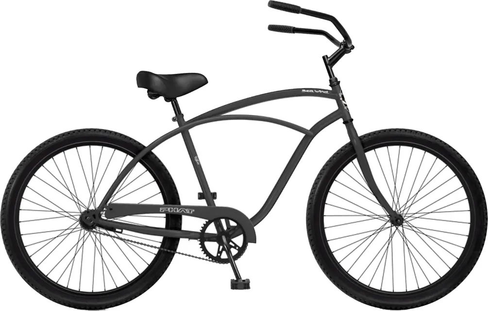 beach cruiser 24 in